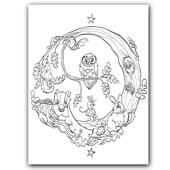 Colouring page, black outlines for you to colour in . Woodland creatures . Badger, rabbit, mouse, owl, squirrel and bat.